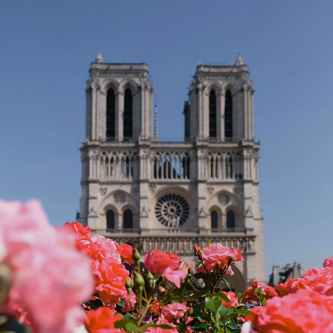 Le campus de Paris